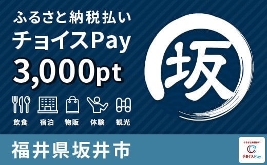 
[A-0002] 坂井市ふるさと納税払い チョイスPay 3,000pt ～申し込みから0秒で返礼品お渡し！～【会員限定のお礼の品】
