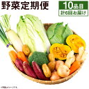 【ふるさと納税】旬の野菜定期便 計6回 旬の野菜 10品【養生市場】 定期便 品種おまかせ ランダム 6ヶ月お届け 計6回 詰め合わせ セット 野菜 九州産 熊本県産 送料無料