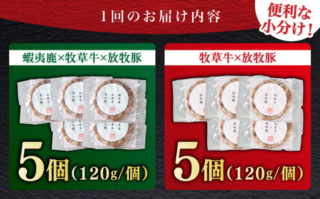 【全2回定期便】ハンバーグ 食べ比べ 10個セット（蝦夷鹿/牧草牛/放牧豚）  鹿肉 牛肉 豚肉 セット 食べ比べ 小分け 冷凍 北海道 [AXBP046]