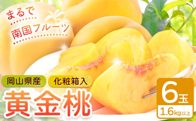 【2026年先行予約】桃 岡山県産 黄金桃 6玉 1.6kg以上 株式会社山博《2026年8月下旬-9月中旬頃出荷》もも フルーツ 化粧箱入り 岡山県 笠岡市 送料無料---Y-39---