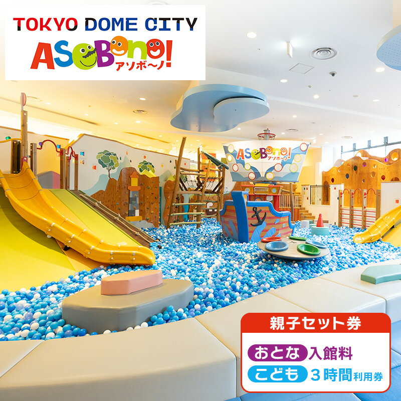 【ふるさと納税】チケット 東京 屋内型キッズ施設 ASOBono!(アソボーノ) 東京ドーム 親子 子ども 家族 屋内 遊び場 キッズ施設 ボールプール すべり台 アクティビティ 思い出 文京区 東京都
