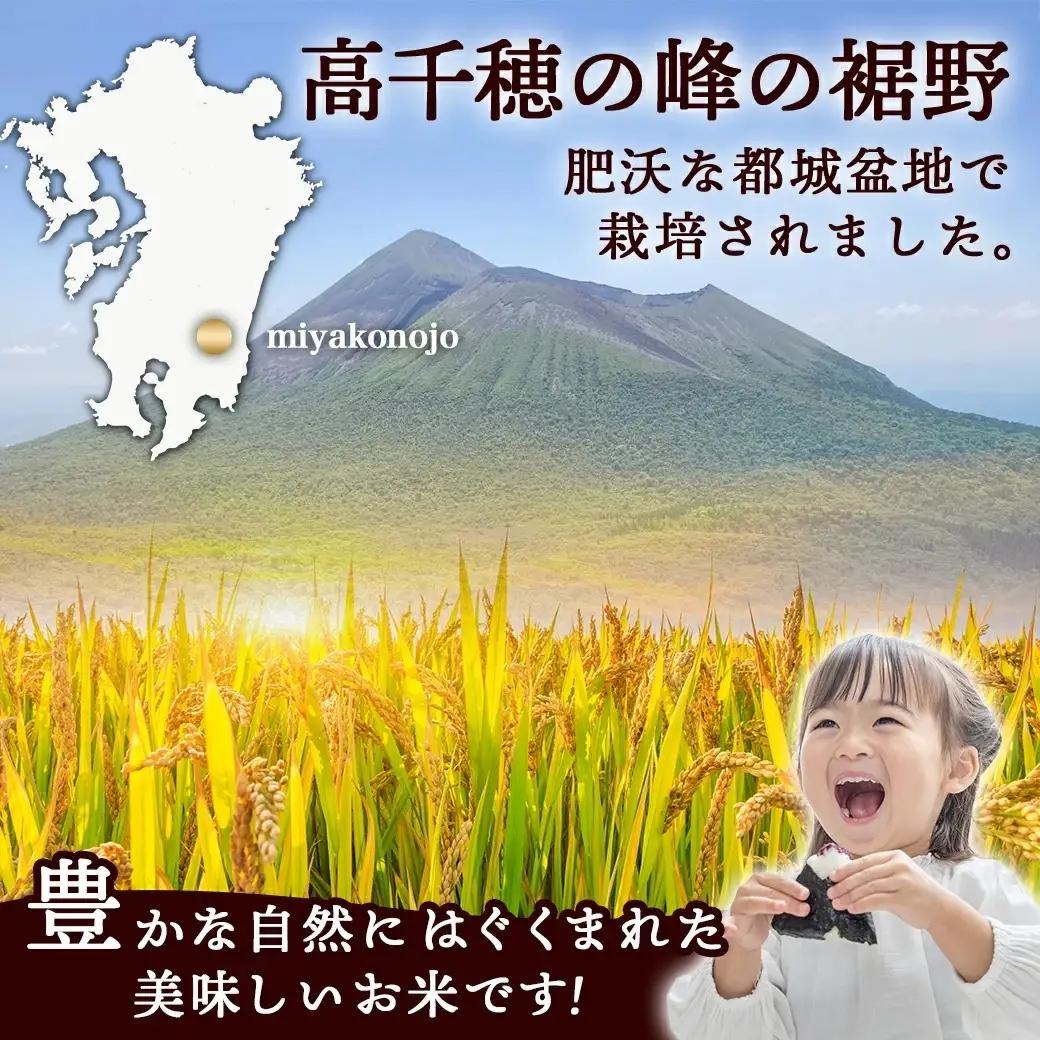 都城産ひのひかり15kg(5kg×3袋)〔AF-1506〕_(都城市) 令和7年産 都城産 お米 5kg×3袋 15kg ひのひかり