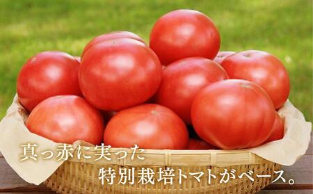 野菜ジュースVegemix（ベジミックス）10缶ギフト　食塩無添加