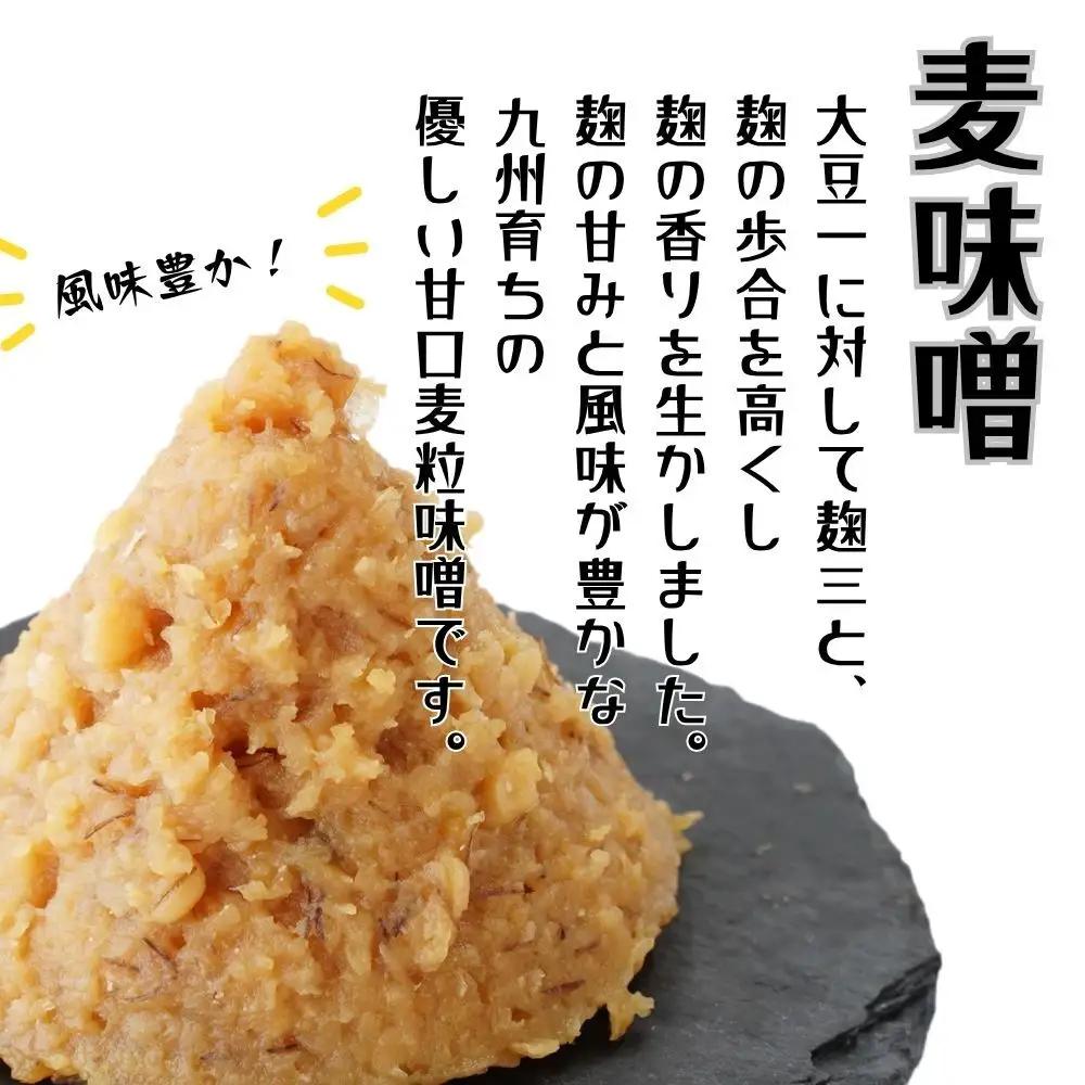 味噌 昭和の町麦味噌4kg | 豊後高田市