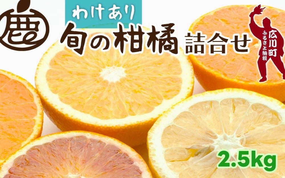 
            柑橘 詰合せ 2.5kg+250g 訳あり 光センサー / みかん 不知火 清見 八朔 伊予間 セミノール レモン ３種類以上 詰め合わせ 晩柑 ※1月上旬〜6月上旬に順次発送 ※北海道・沖縄・離島への配送不可【ikd049-c-2d5A】
          