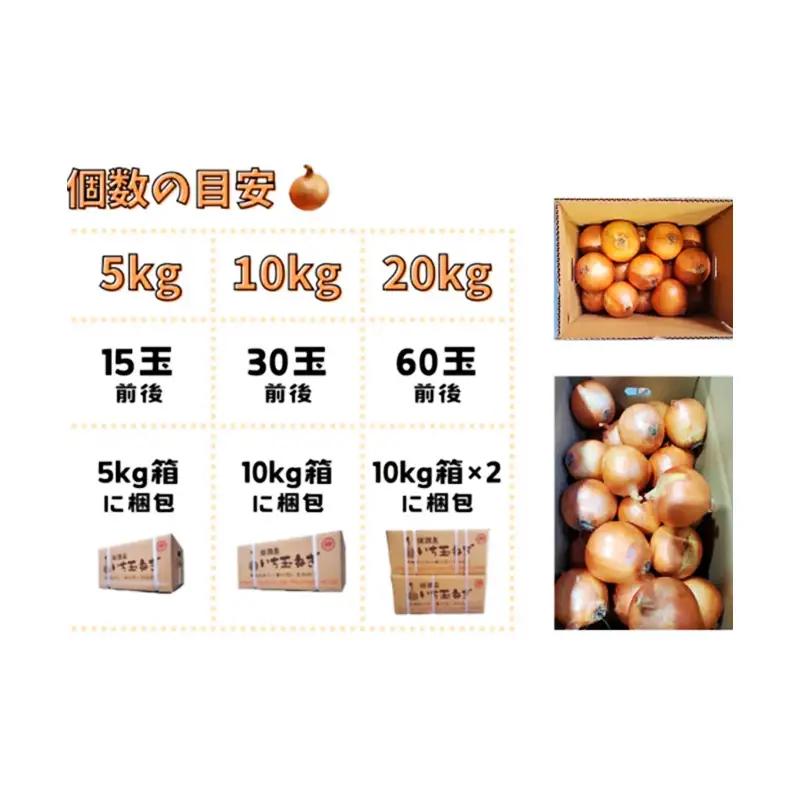 ターザン 淡路島産貯蔵用玉ねぎ 3kg たまねぎ タマネギ 玉葱 野菜 新鮮 長持ち 貯蔵用 カレー シチュー バーベキュー スープ 兵庫県 洲本市 淡路島