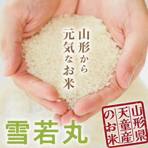 【2026年1月中旬発送】令和7年産 雪若丸 5kg 米 精米 山形 07-01-193-01B