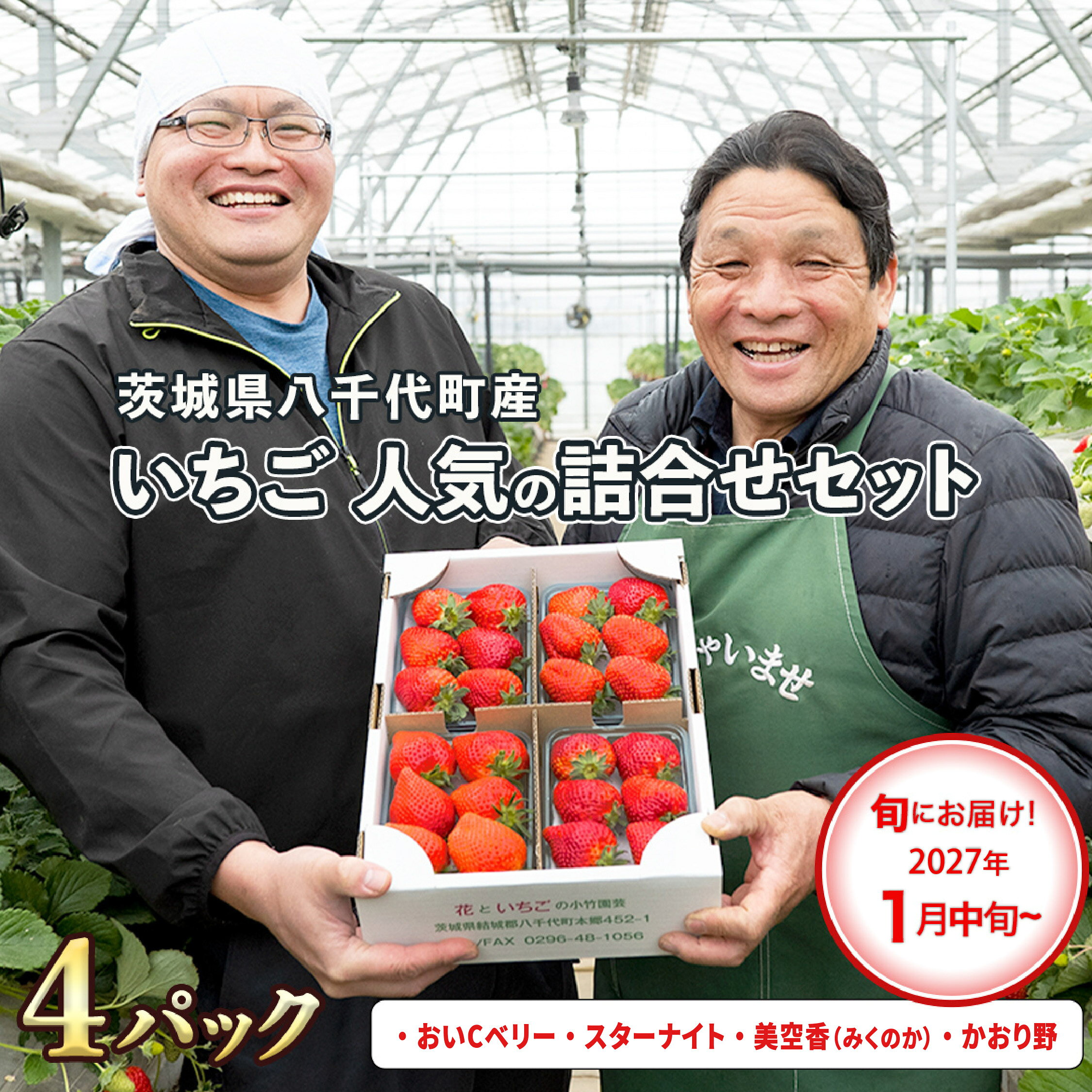 【ふるさと納税】【 先行予約 2027年1月中旬以降発送 】 数量限定 農家直送 ♪ 八千代町産 いちご ボリュームパック （ 4パック ） 人気 の 詰め合わせ セット イチゴ 苺 季節限定 茨城県 フルーツ 果物 食べ比べ セット 2027年発送 2027年先行受付 2027年 [AJ002ya]