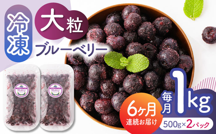 
                  【先行予約】【6回定期便】大粒 冷凍ブルーベリー 約1000g（約500g×2pc）【先行予約】【すみれファーム】熊本県産 熊本 ブルーベリー フルーツ スムージー 果物 小分け 国産 フルーツ 定期 定期便  [ZEP011]
                