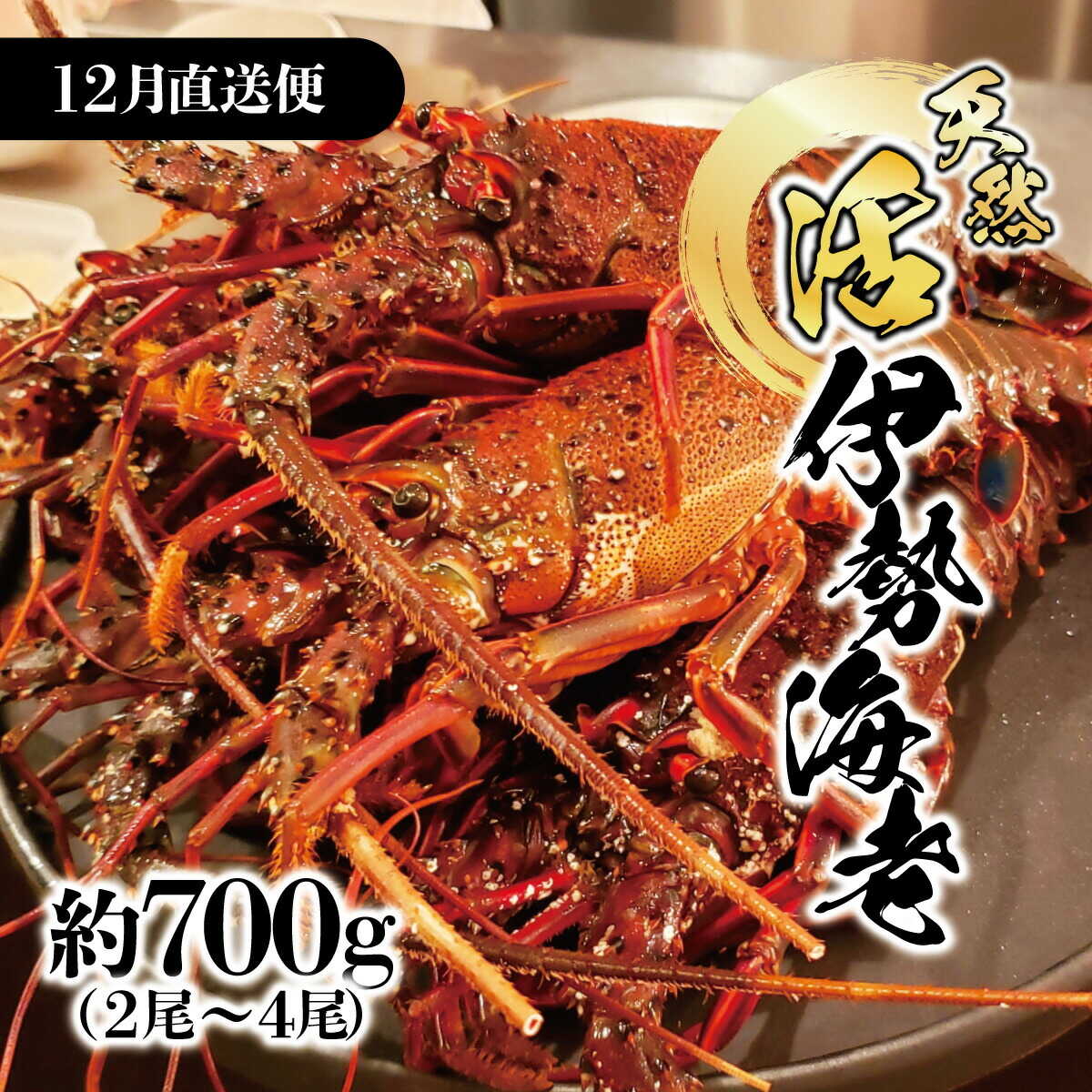 【ふるさと納税】【先行予約】12月直送便 土佐獲れ 活伊勢海老 約700g（2尾〜4尾） 伊勢海老 高知 天然 国産 海鮮 えび エビ 刺身 焼き しゃぶしゃぶ 贅沢 お取り寄せ ご馳走 高知県土佐市/株式会社とさもん[BQAE105]