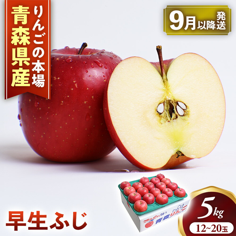 【ふるさと納税】【2026年産・先行予約】青森りんご【早生ふじ】約5kg（12〜20玉）★2026年9月下旬〜10月下旬頃まで発送予定★りんご 林檎 リンゴ 国産 早生 ふじ フルーツ 果物 贈答 土産 青森県 三戸町