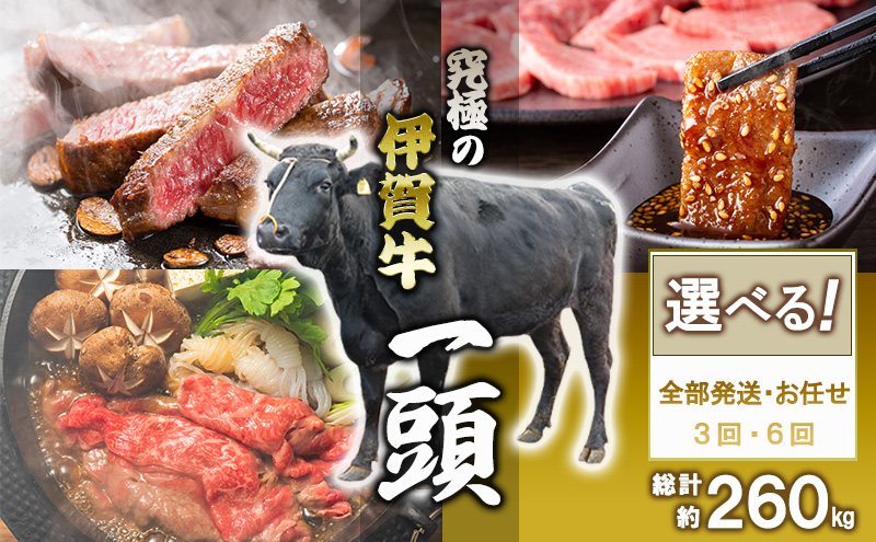伊賀牛 1頭分 冷凍 黒毛和種 三重県 名張市 国産牛 和牛 牛肉 産直 自家牧場 希少 贅沢 究極 詰め合わせ 全部位 高級肉 ブランド牛 お取り寄せ ギフト プレゼント 黒毛和牛 旨み ジューシー 食肉 肉ギフト 奥田 オクダ お歳暮 お中元 柔らか