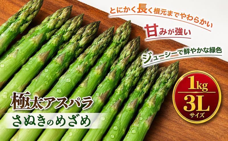 期間限定！極太アスパラ 【さぬきのめざめ1kg】  3Lサイズ 野菜セット 野菜 アスパラガス 