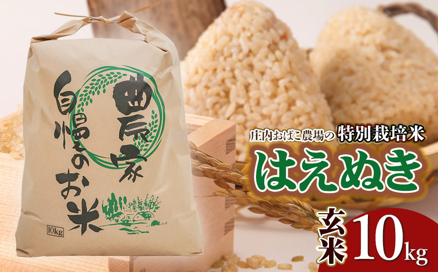 
            【令和7年産先行予約】庄内おばこ農場の特別栽培米 はえぬき【玄米】10kg（10kg×1袋）　K-775
          