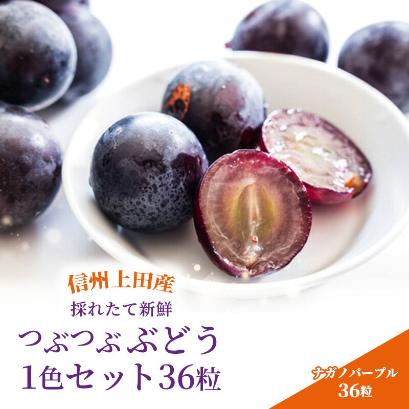 【ふるさと納税】2025年先行予約 厳選！ナガノパープル jewelry box 信州上田産金剛寺ぶどう 1色 セット 36粒 詰め合わせ ぶどう 葡萄 ブドウ 長野パープル 果物 くだもの フルーツ 旬の果物 旬のフルーツ 長野県 長野　お届け：2025年10月初旬～2025年10月下旬まで