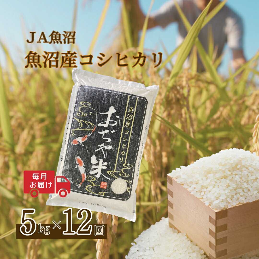 【ふるさと納税】【12か月定期便(毎月発送)】 令和7年産新米 魚沼産コシヒカリ 精米5kg(5kg×1袋)×全12回 ※2025年10月上旬から発送予定 JA魚沼 【0002-JA07DB00-01】