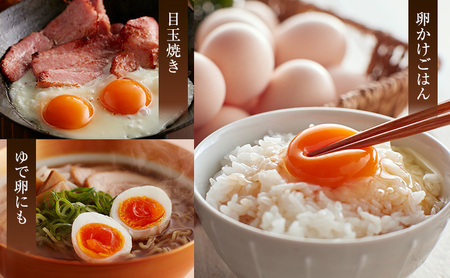 高級卵 定期便 6ヵ月 たまご 30個入り（10個×3パック） 遠州森町 生で食べて欲しい烏骨鶏の卵 3パック セット  たまご 鶏卵 静岡県 森町