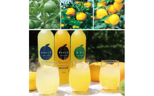 柑橘 ジュース 濃厚希釈 山口県産 3種セットB 500ml×6本 セット /夏みかん 柚子 ゆずきち　｜HG000825