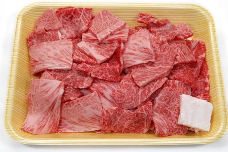 飛騨市産 5等級飛騨牛 盛り合わせパック ごちゃまぜ ミックス 500g ギフト お中元 お歳暮[DE018]