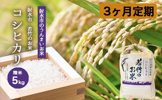 
                  【3ヶ月定期便】【射水市】【射水の美味しいお米】若竹のお米 R8年度産コシヒカリ5kg | 米 こめ コメ こしひかり 先行予約 予約 新米 白米 ブランド米 銘柄米 人気 ランキング 富山 富山米 北陸 北陸米 富山コシヒカリ 北陸コシヒカリ 精米コシヒカリ 5キロ 5キロ米 5kg 5kg米 ※離島への配送不可 ※2026年10月上旬～10月下旬頃に順次発送予定
                