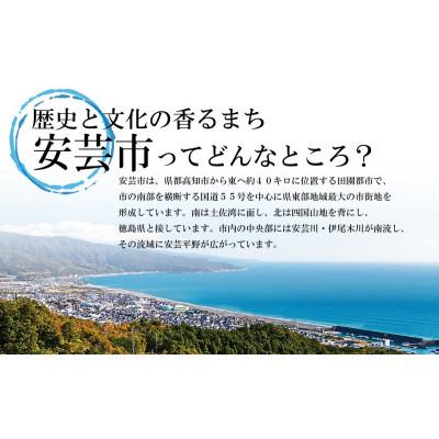 ふるさと納税 安芸市 地魚の西京漬け　約300g |  | 01
