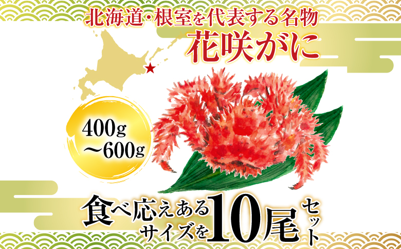 【北海道根室産】花咲かに400～600g×10尾 D-36007