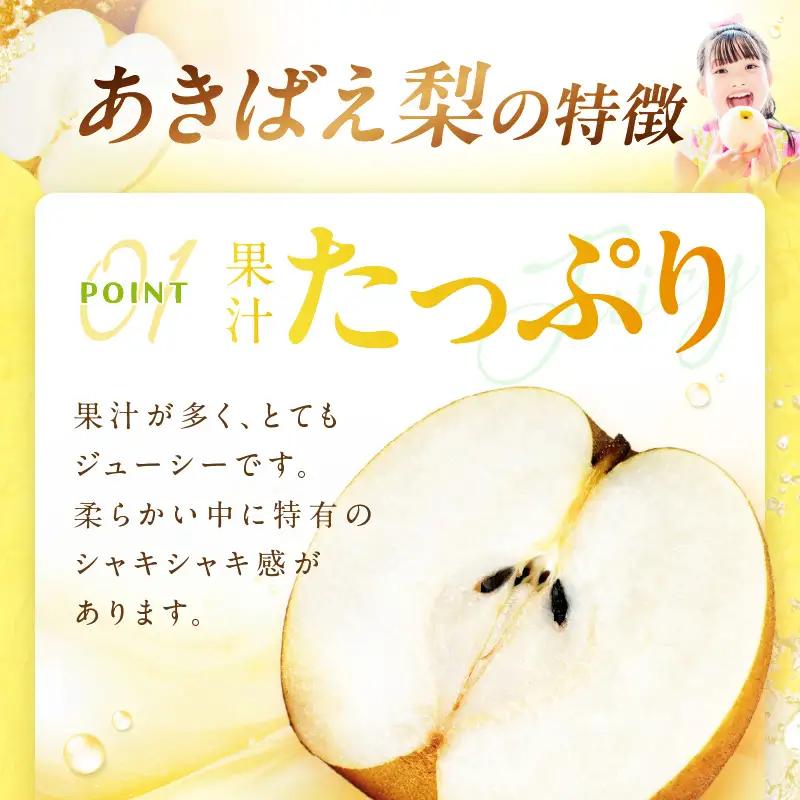 梨／あきばえ	【先行予約】あきばえ梨 5kg（2026年8月中旬～発送）