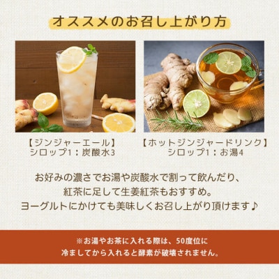 【2ヵ月毎定期便】発酵ジンジャーシロップ＆塩麹 全3回 LL-6031【配送不可地域：離島】