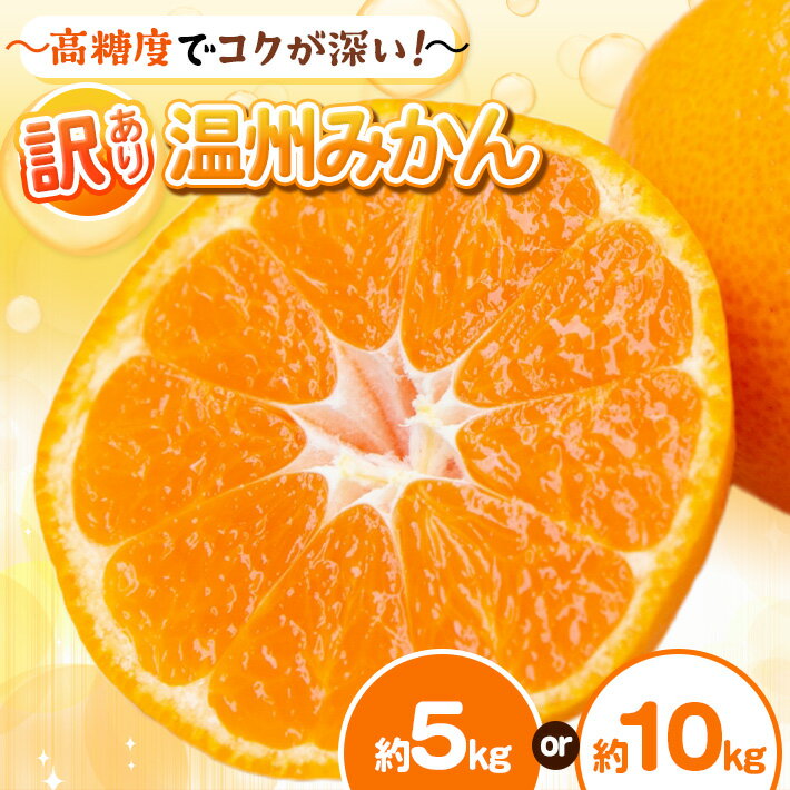 【ふるさと納税】選べる 容量 【訳あり】 温州 みかん 約5kg 約10kg | 柑橘 フルーツ 果物 くだもの ふるーつ 熊本県 玉名市