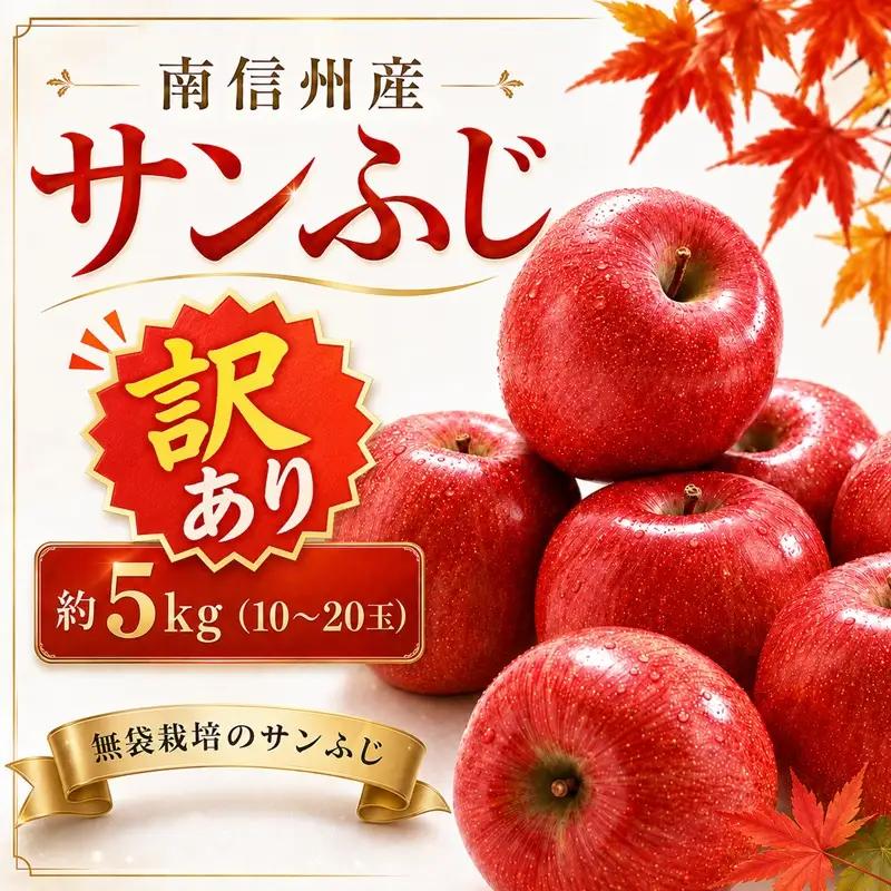 【南信州産】 サンふじ 訳あり 約5kg (10～20玉)【2026年11月下旬～順次発送】 ＪＡみなみ信州ＤＭセンター飯田市