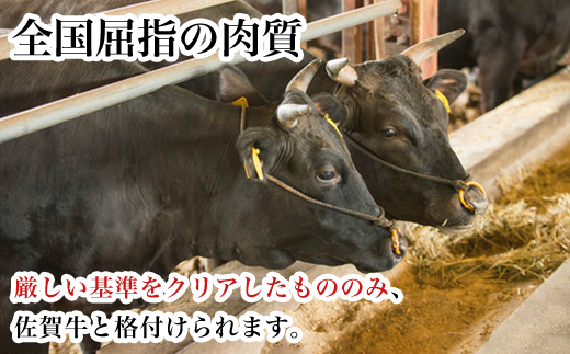 「全3回定期便」佐賀牛ロースステーキ 200g×2枚(合計400ｇ)を3回お届け！牛肉 ステーキ BBQ バーベキュー「2023年 令和5年」