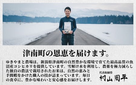 【6ヶ月定期便】【令和7年産】魚沼産  特別栽培米 コシヒカリ「ゆきやまと」10kg (5kg×2袋) ※節減対象農薬当地比5割減 ※東京米スターセレクション金賞受賞|津南町 魚沼産 コシヒカリ