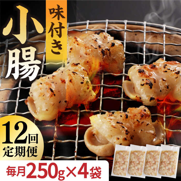 【ふるさと納税】【全12回定期便】【塩だれ】厳選 九州産和牛 ホルモン 小腸 1kg（250g×4袋） 長与町/岩永ホルモン [EAX111] 国産肉 ホルモン 小腸 小分け 味付き 冷凍 焼肉 焼き肉 和牛