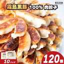 【ふるさと納税】 訳あり 霧島黒豚 肉100％ 肉餃子 120個 冷凍 12個×10パック 小分け 冷凍餃子 大容量餃子 国産原料餃子 簡単調理餃子 ぎょうざ ギョーザ 餃子（ 肉 豚肉 九州産黒豚 10000円 加工食品 お手軽 簡単調理 惣菜 絶品 おかず 弁当 おつまみ 晩ごはん