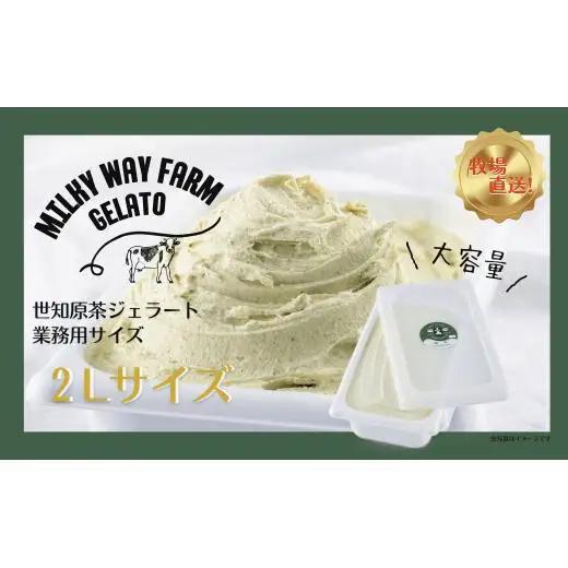 山中牧場「MILKY WAY FARM」ジェラート 業務用(２L)サイズ〈世知原茶〉  ｜アイスジェラート お茶 緑茶 デザート スイーツ 人気