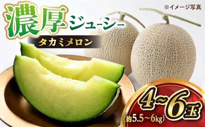 
             高糖度 メロン 【☆先行予約☆】 タカミ メロン 4～6玉 (計約5.5kg～6kg) メロン めろん タカミメロン 果物 フルーツ 長崎 西海市 贈答 ギフト ＜白石農園＞ [CBI002]
          