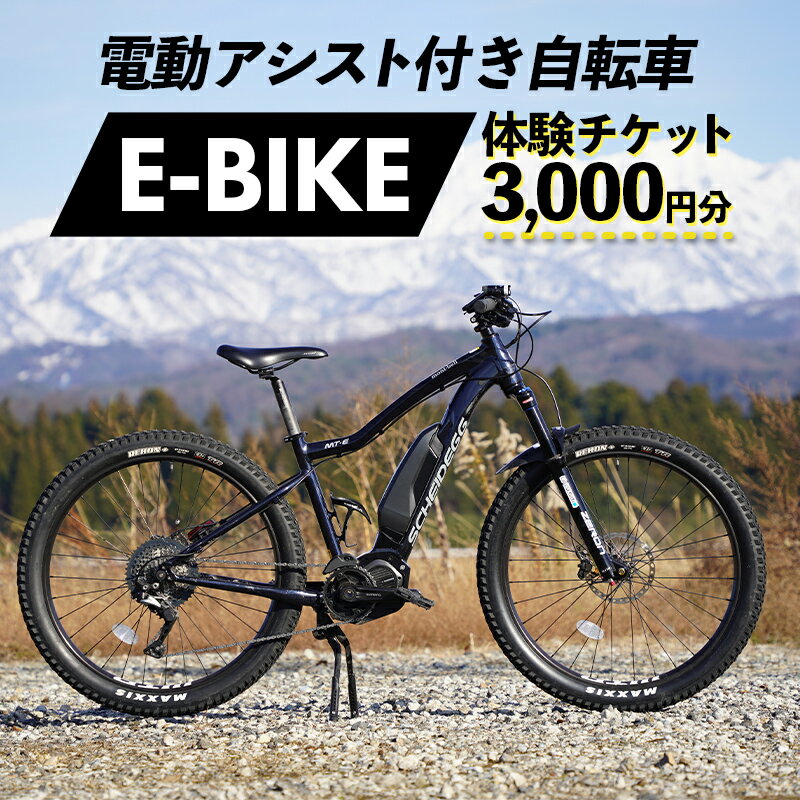 電動アシスト付き 自転車 E-BIKE 体験 チケット 3000円分 / 立山町観光協会 / 富山県 立山町 [55590362] 商品券 利用券 観光 レジャー サイクリング レンタサイクル モンベル 電動自転車 マウンテンバイク