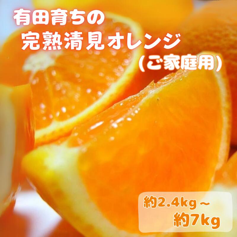 【ふるさと納税】【2026年2月下旬～3月下旬頃に順次発送予定】有田育ちの完熟清見オレンジ(ご家庭用)　【選べる容量】約2.4kg～約7kg※北海道・沖縄・離島配送不可