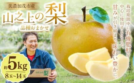 《先行予約》 山之上の梨 （ 品種はおまかせ ） 約5kg （ 8～14玉 ） 【2026年8月下旬～10月上旬発送予定】