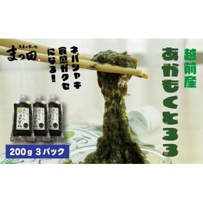 ふるさと納税 福井市 【越前産】あかもくとろろ　200g×3パック