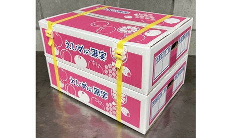 愛果28号 約3.3kg×2箱 ご家庭用 みかん 紅まどんなと同品種 柑橘 愛媛 【2026年11月下旬から順次発送予定】 先行予約 数量限定 人気 伊予市｜C139