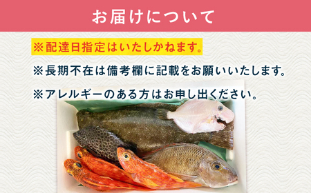 旬の地魚セット2kg（ウロコ/エラ/内臓処理済） 五島市/五島FF[PBJ009] 