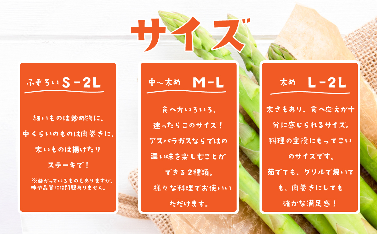 朝採りアスパラガス 1kg L〜2Lサイズ ハウス栽培 春芽 26年3月下旬〜5月発送 【 先行予約 グリーンアスパラ 野菜 サラダ 農家直送 産地直送 】