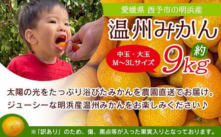 ＜訳あり 温州みかん 約9kg＞ 中玉 大玉 明浜産 果物 フルーツ 蜜柑 うんしゅうみかん ウンシュウミカン 柑橘 家庭用 浜のみかん屋 直送 愛媛県 西予市【常温】『2025年11月上旬～12月中