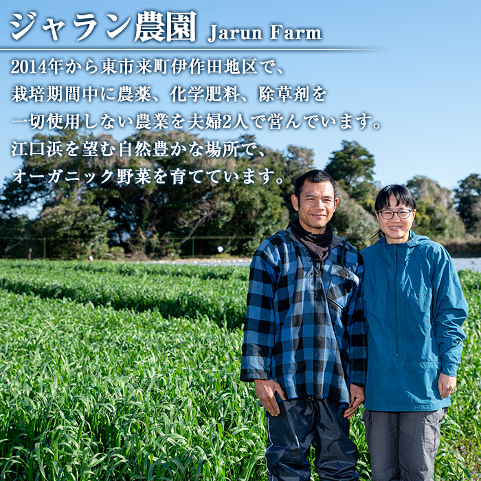 No.452 鹿児島県産！日置市の有機さつま芋紅はるか(6kg)国産 