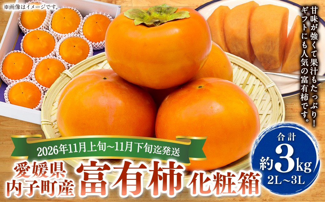 
                  内子町産 富有柿 化粧箱（2L～3L）約3kg【2026年11月上旬～11月下旬迄発送】【えひめの町（超）推し！（内子町）】（448-1）
                