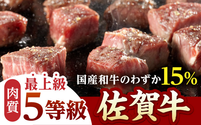 佐賀牛 A5 ヒレ サイコロステーキ 1.0kg(250g×4パック)【山下牛舎】 [HAD037]