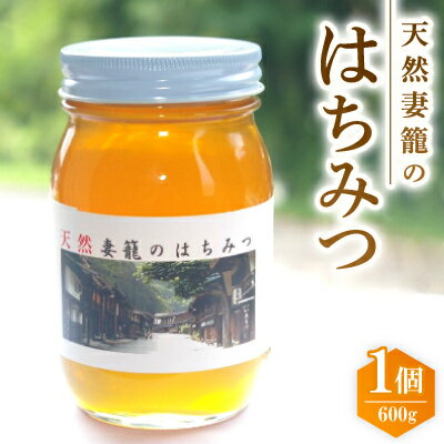 【ふるさと納税】天然妻籠のはちみつ　600g【1243178】