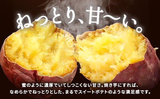 紅はるか(生芋4kg)さつまいも 芋 ストック 腸活 おやつ 間食 人気 国産 自然食品 (a174)