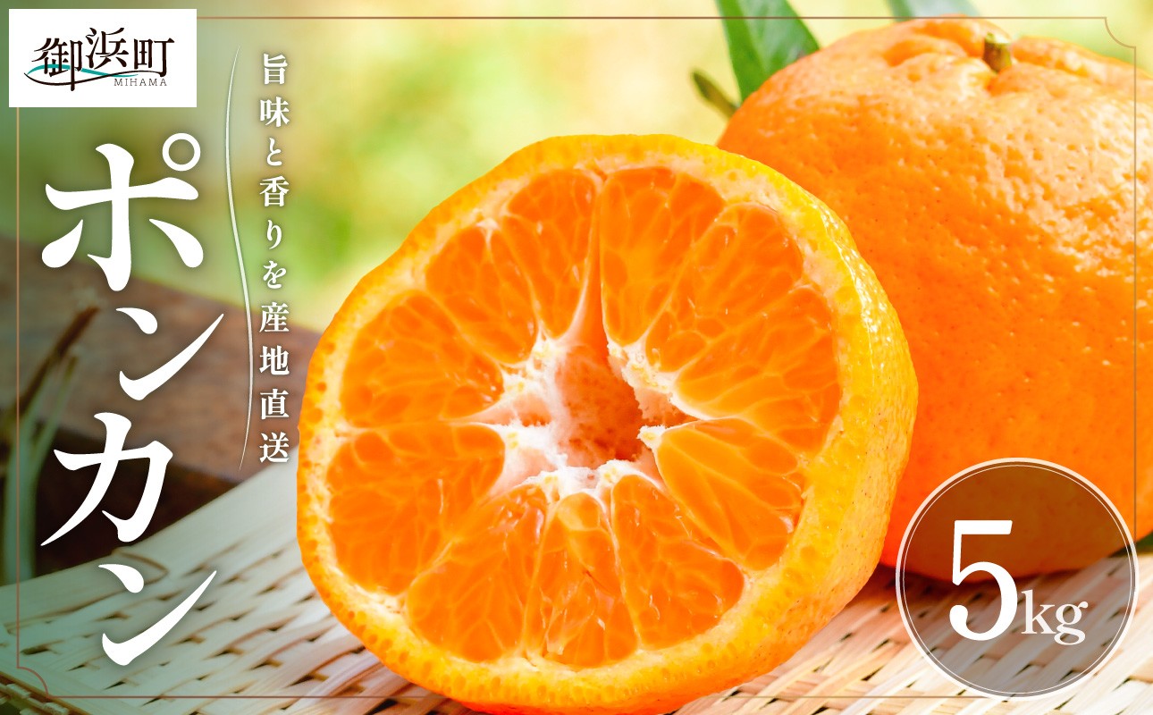 
                  【2027年発送先行予約品】旨みと香りを産地直送！ミカファームのポンカン5キロ【期間限定 数量限定 果物 フルーツ みかん ぽんかん デザート 5kg 三重県 御浜町】
                